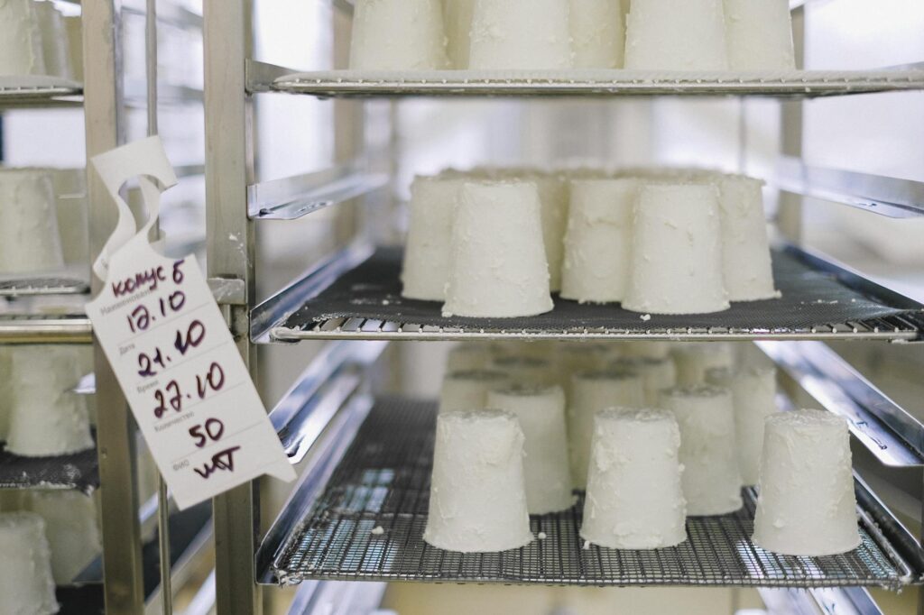 Faire des fromages blancs en — processus de fabrication de fromage maison