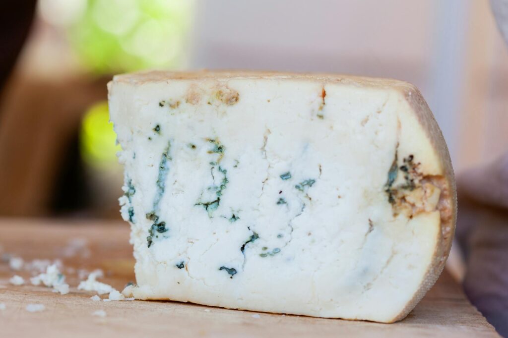 Fromage corse avec vers histoire, — fromage corse avec vers
